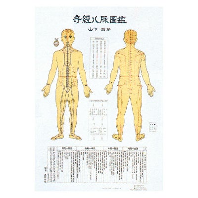 人体模型 | トワテック