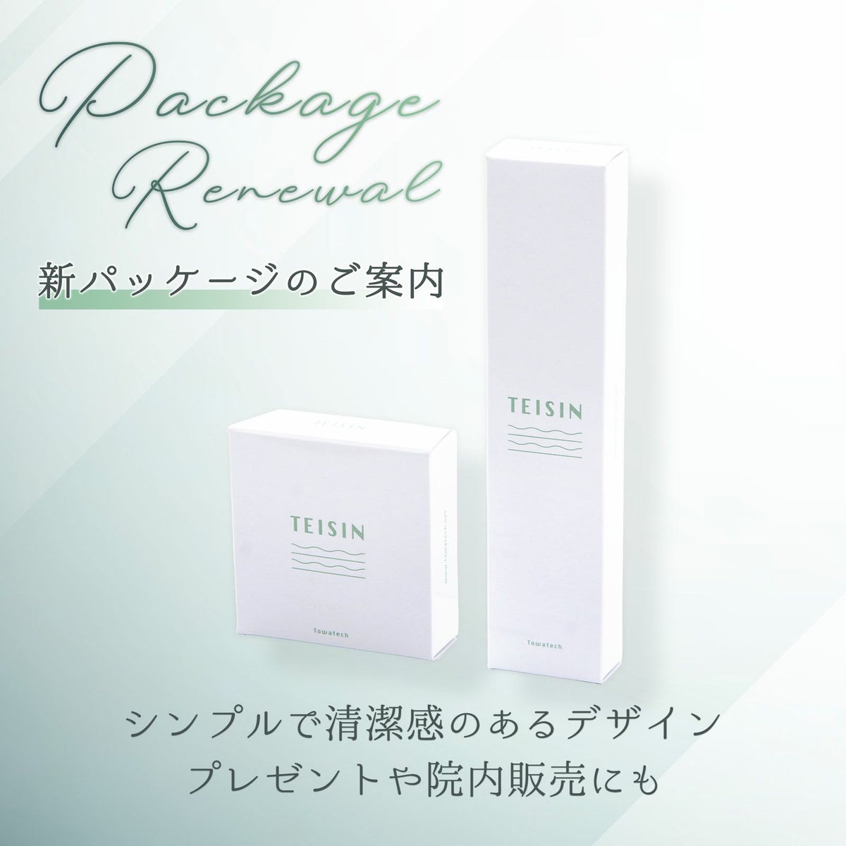 トワテック TEISIN スティック バネ式