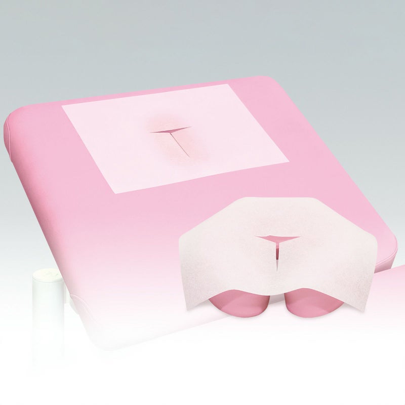 美顔ペーパー　500枚