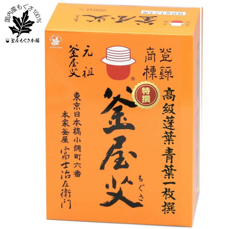 特選最上点灸用艾 100g | トワテック