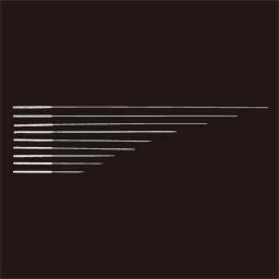 カナケン　ステンレス針（5分・8分）(8分(25mm), 1番 0.16)