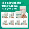 トワテック　キネシオロジーテープ 3.75cm×32m 1巻