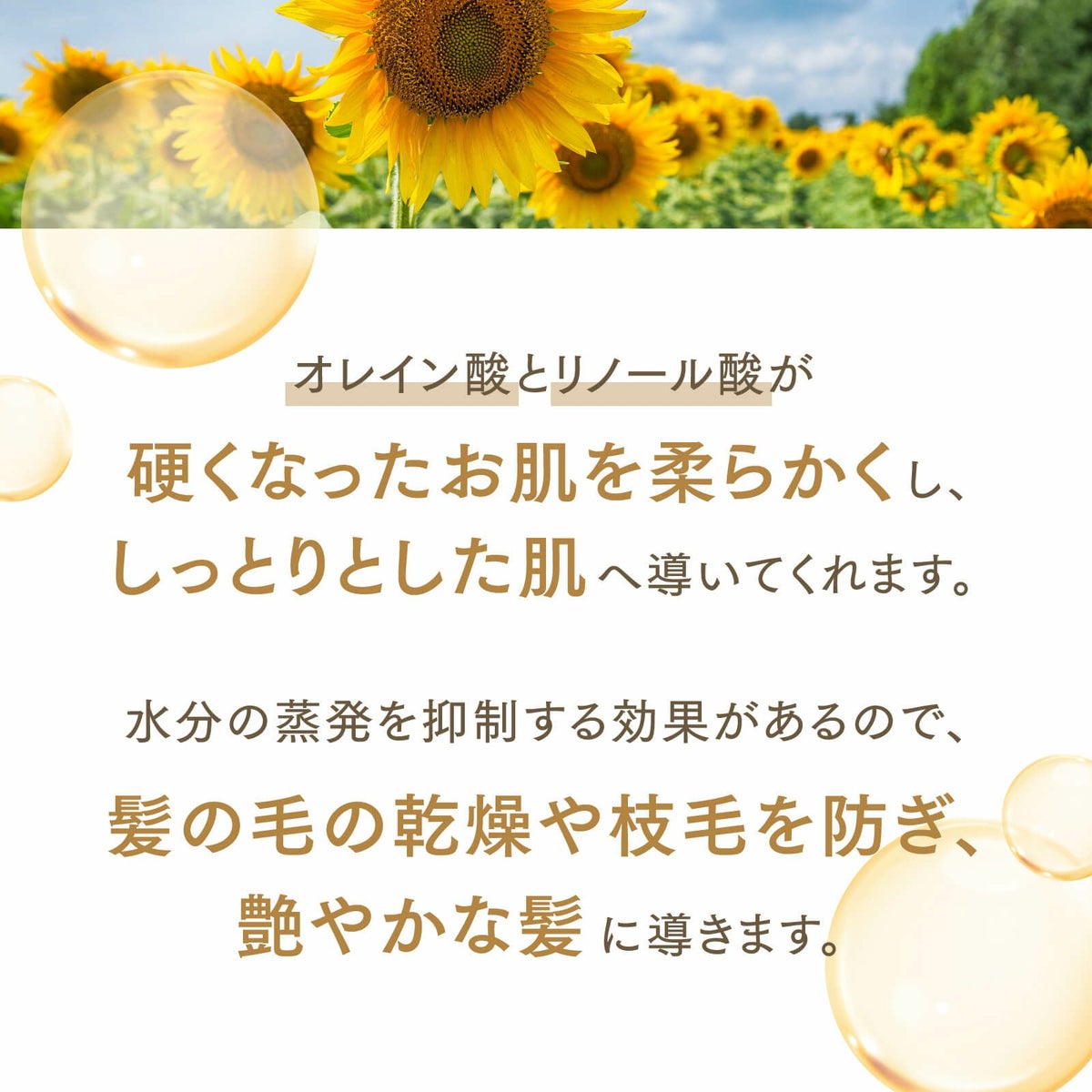 【300ml】サンフラワーオイル アプレミディ