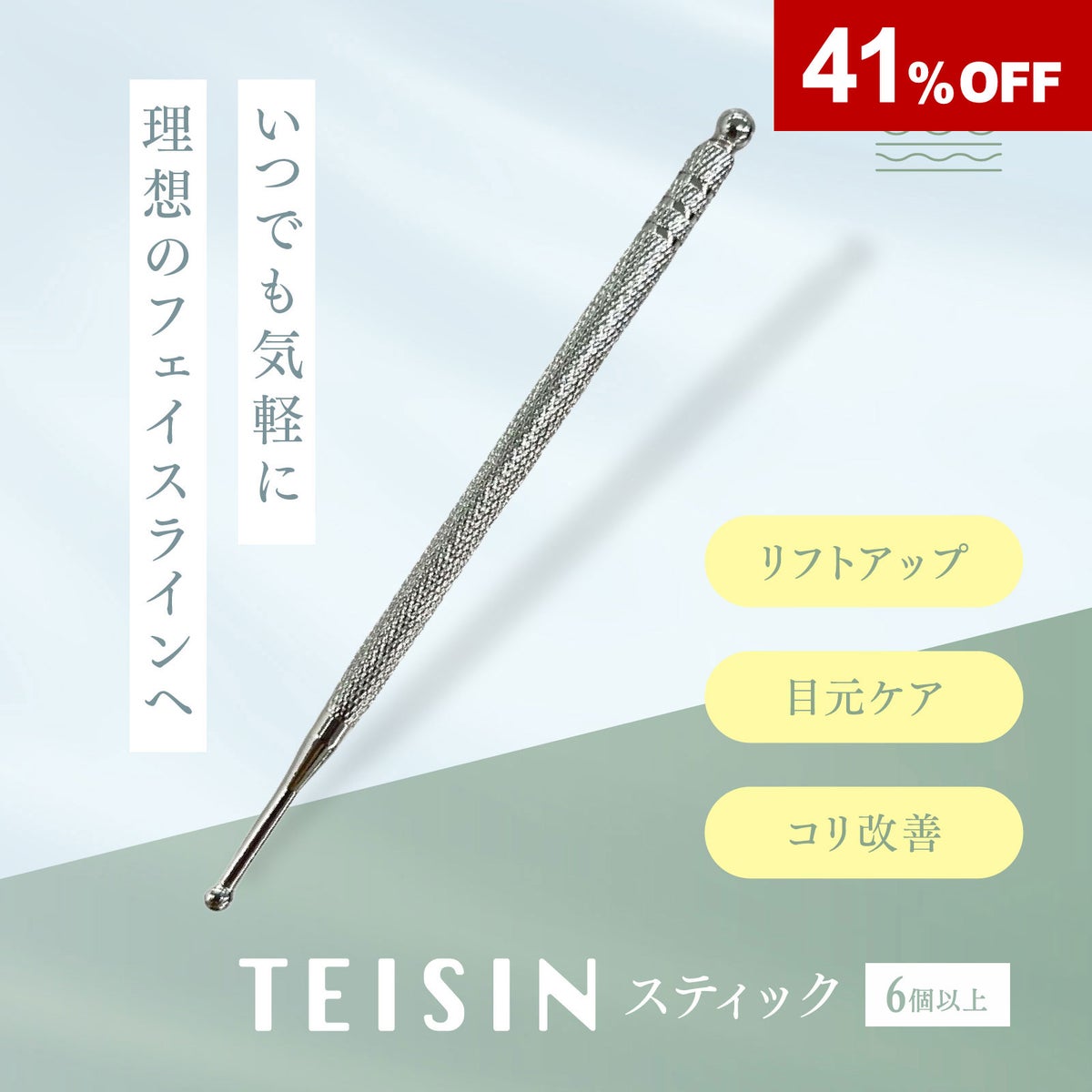 トワテック TEISIN スティック【2個セット】
